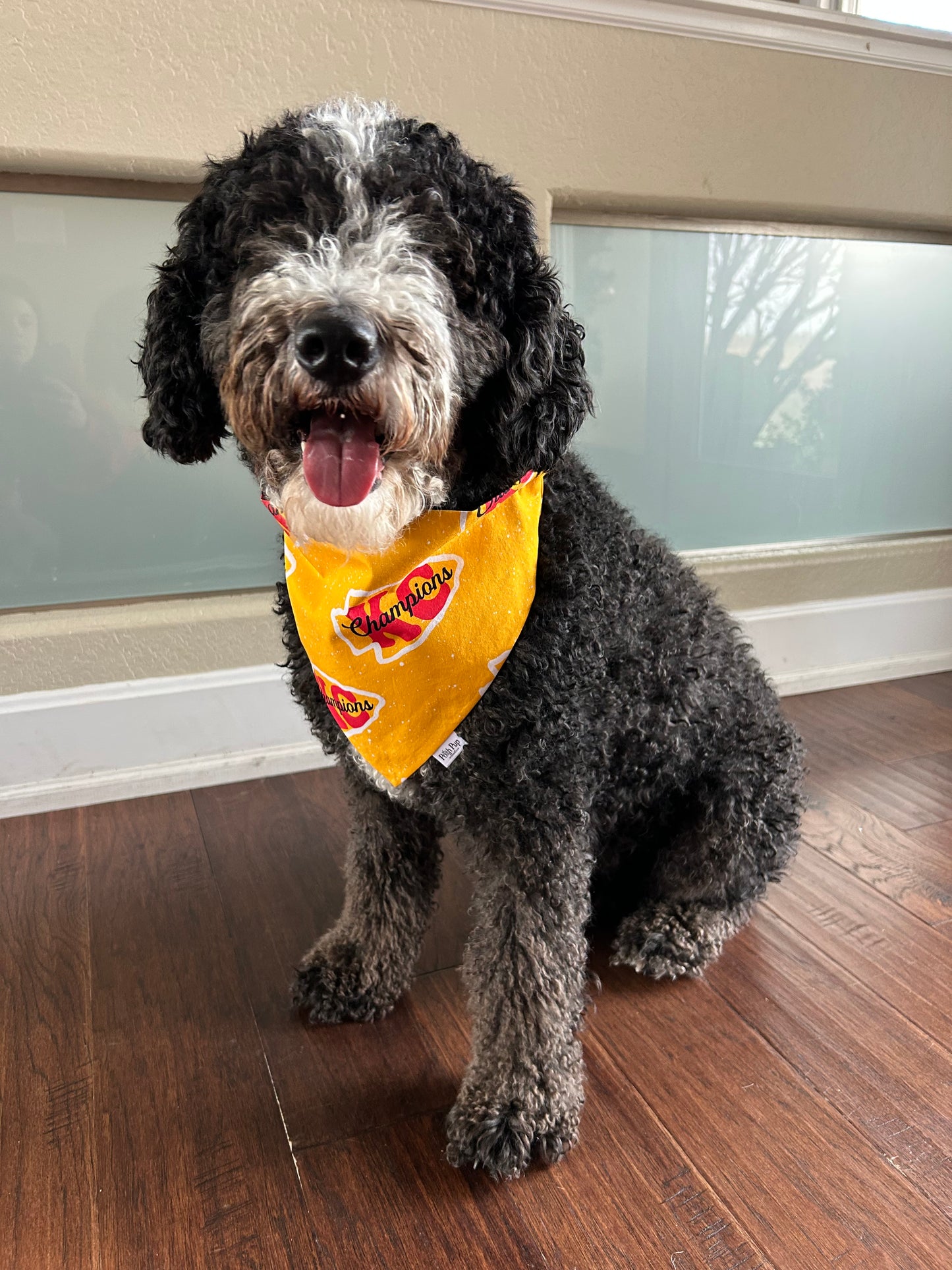 Pet Bandana: Champions