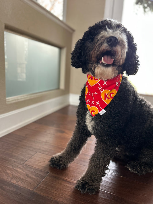 Pet Bandana: KC XO