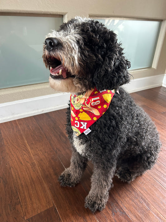 Pet Bandana: Tayor on Red