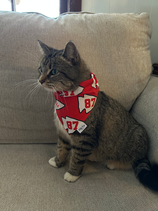 Pet Bandana: Red 87