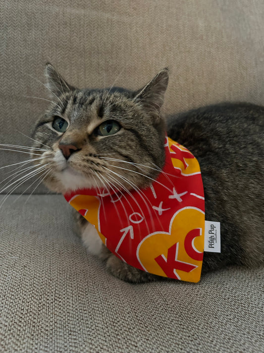 Pet Bandana: KC XO