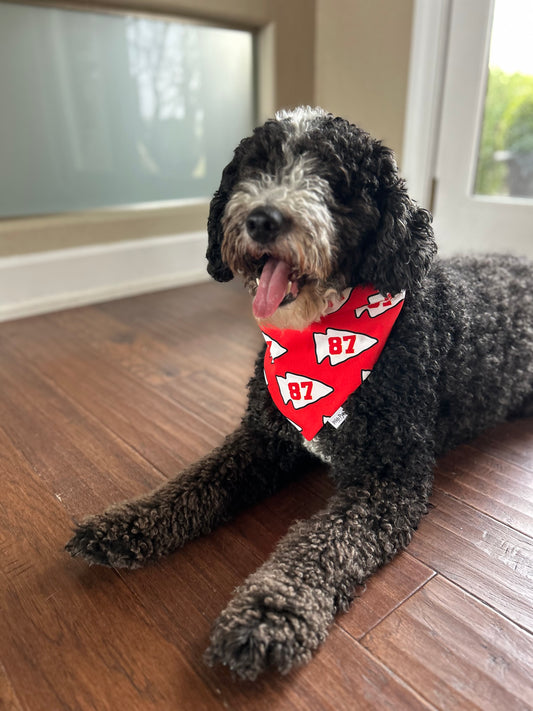 Pet Bandana: Red 87