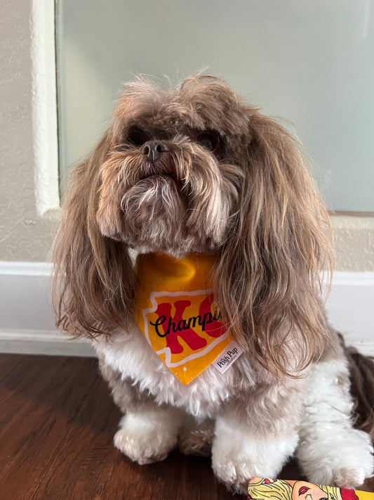 Pet Bandana: Champions